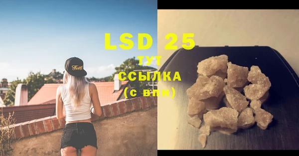 PSILOCYBIN Дмитриев